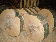 netpan bukov devo