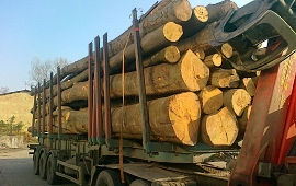 jednotky měření dřeva