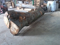 buk